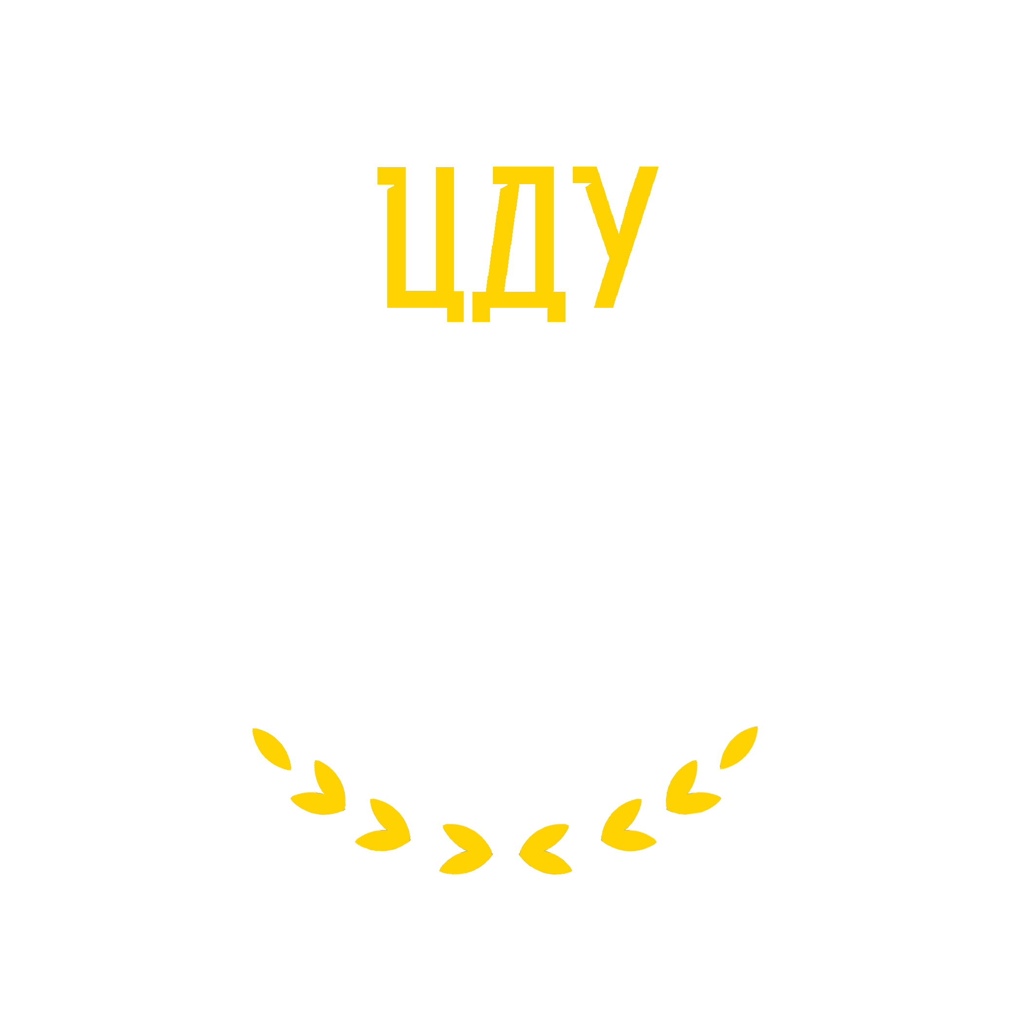logo cusu
